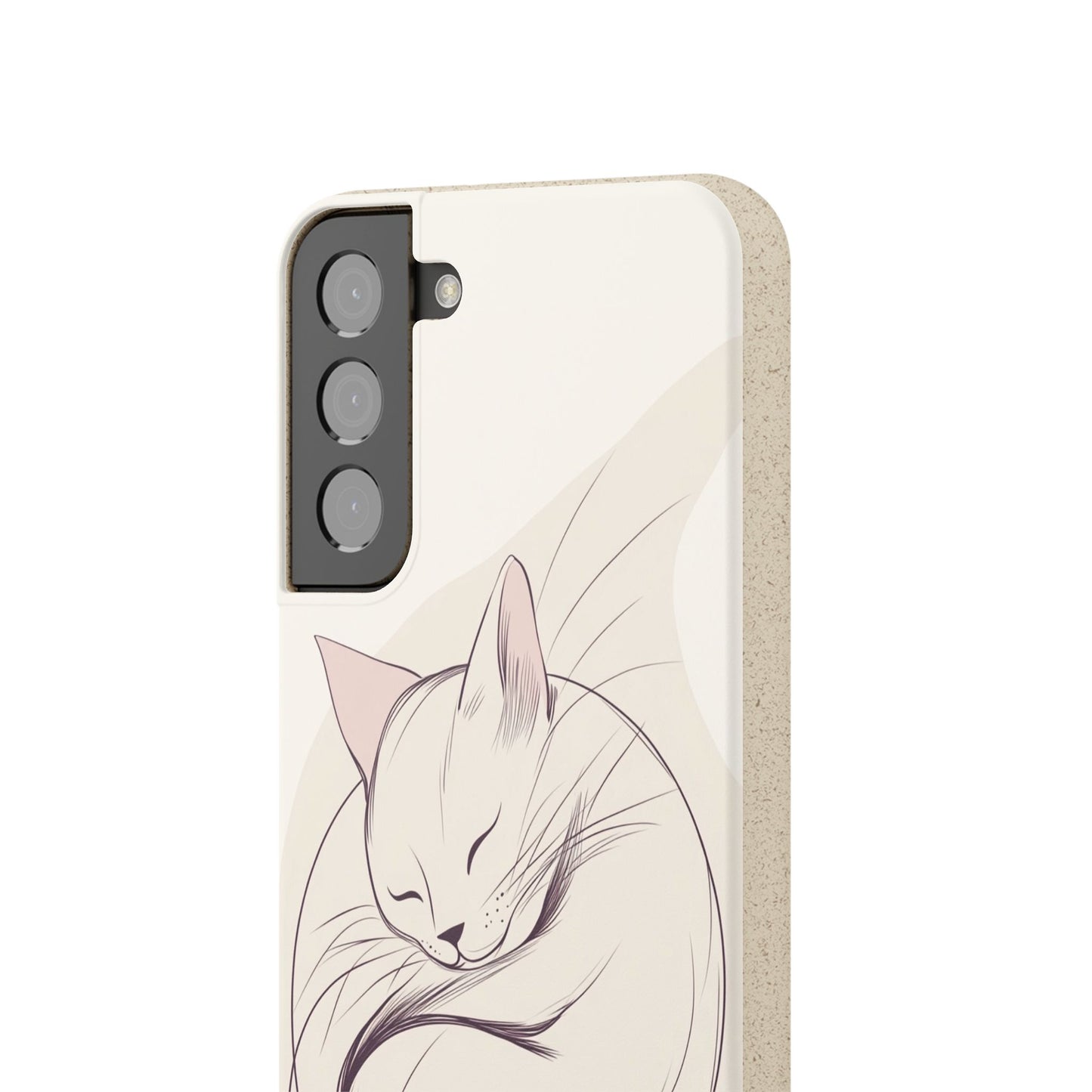 Cozy Meow
