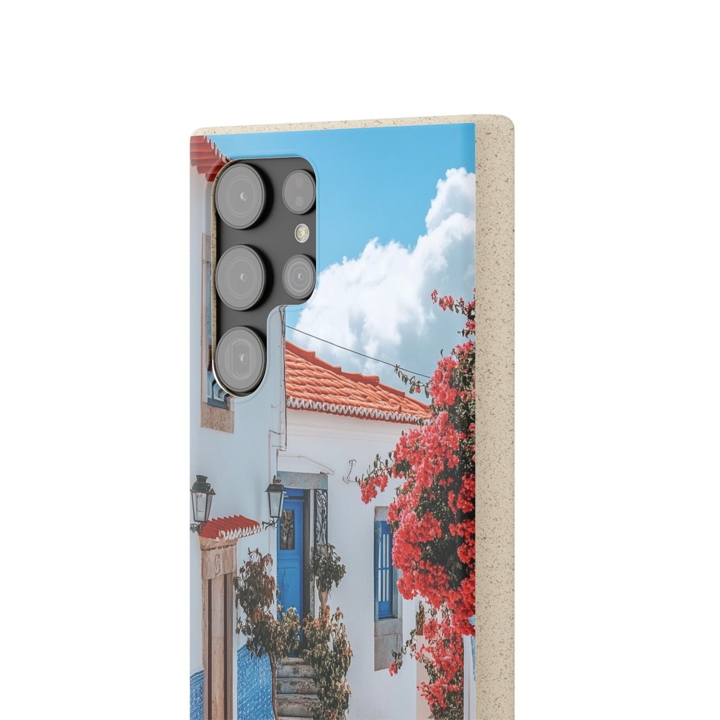 Portuguese Spring