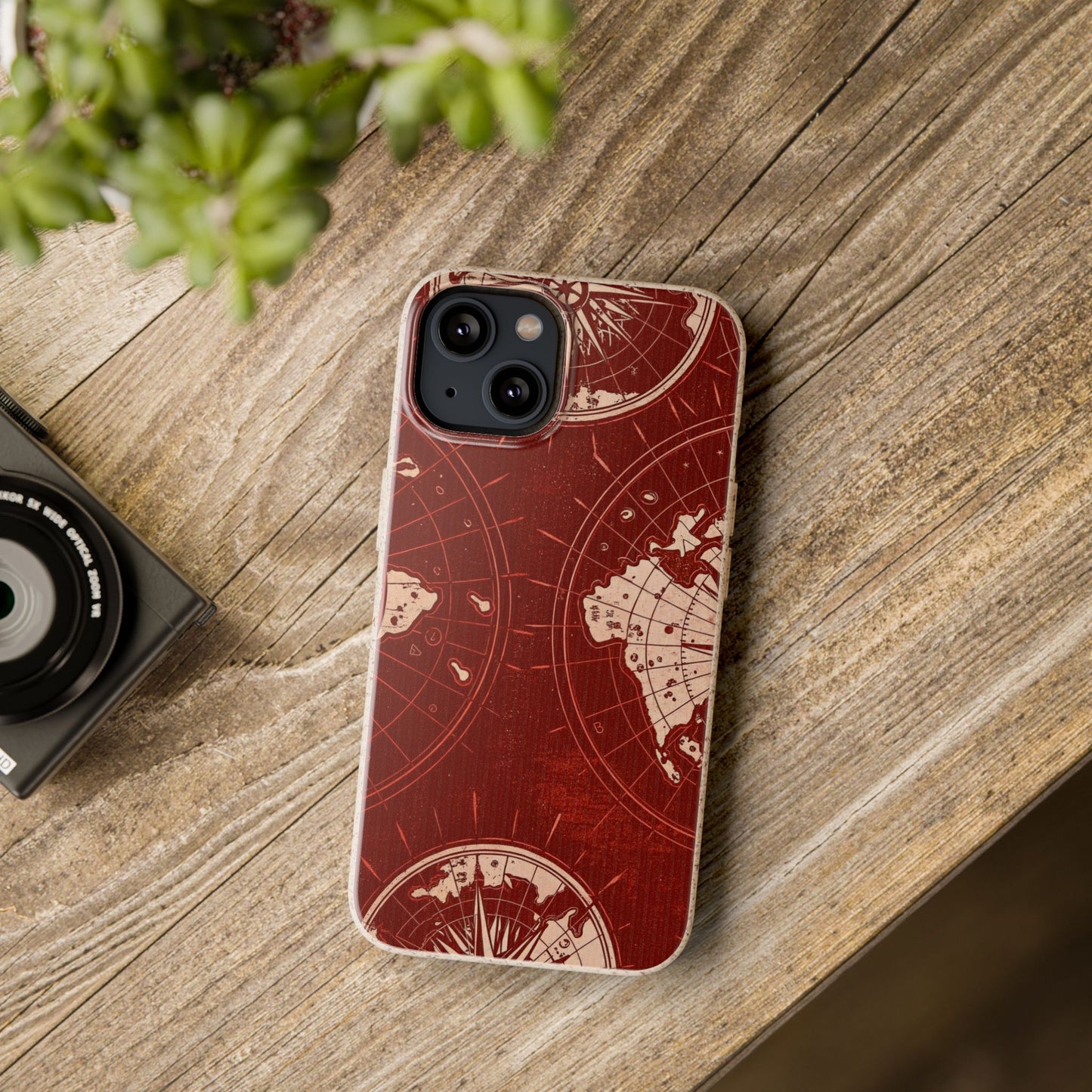 Cartographer Charm