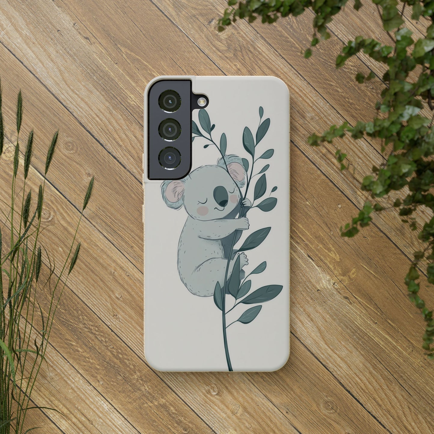 Koala Nap