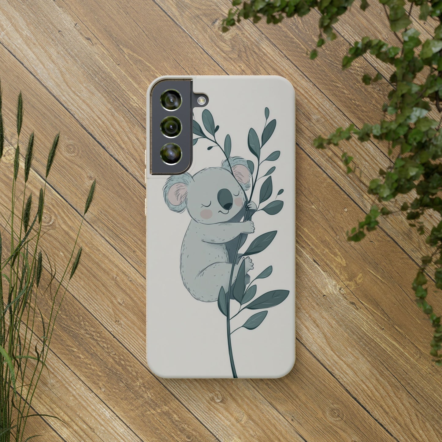 Koala Nap