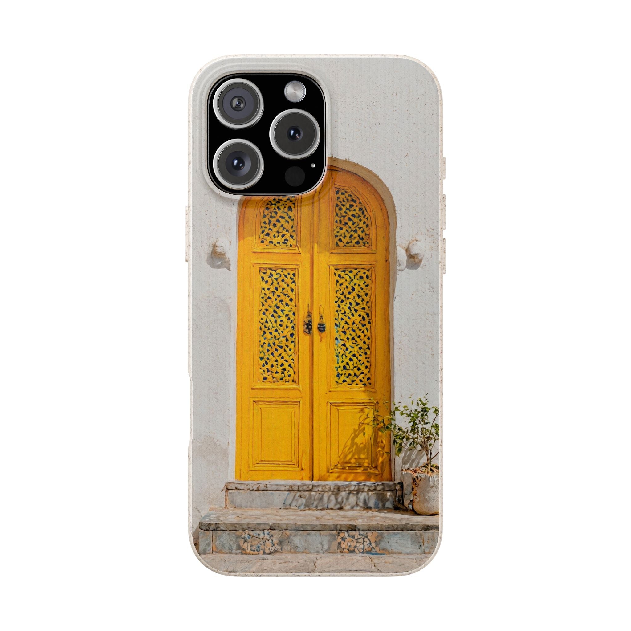 The Marrakesh Door