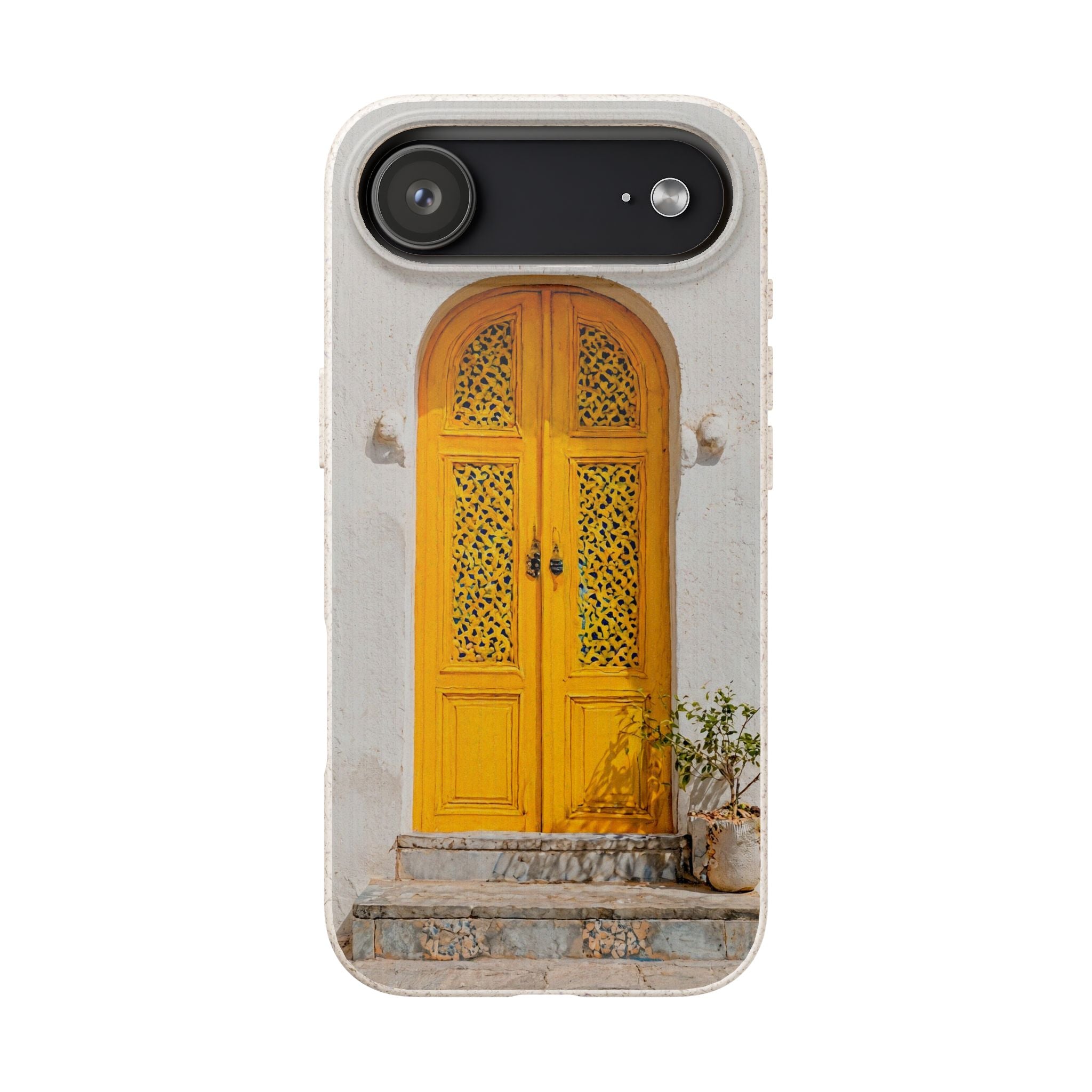 The Marrakesh Door