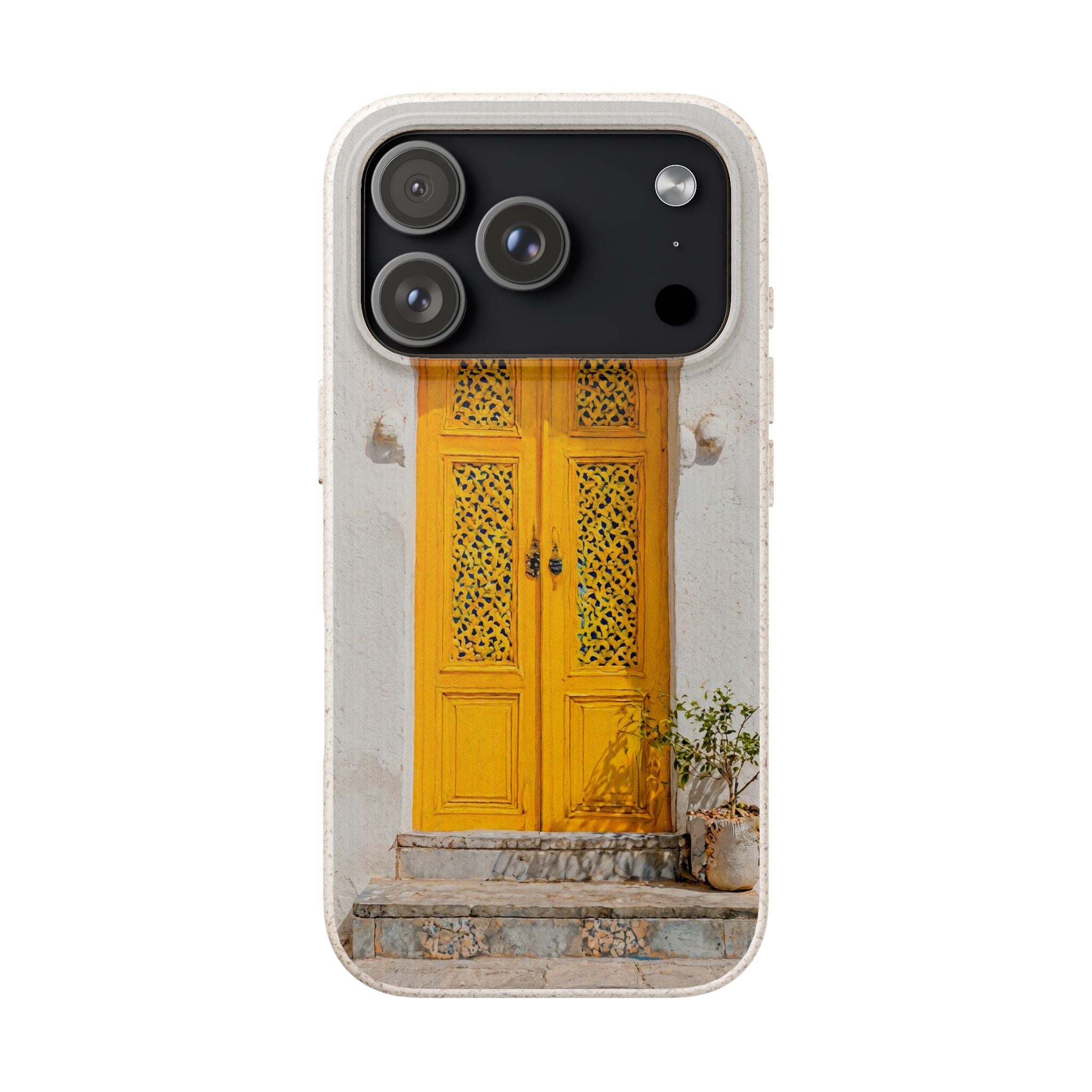 The Marrakesh Door