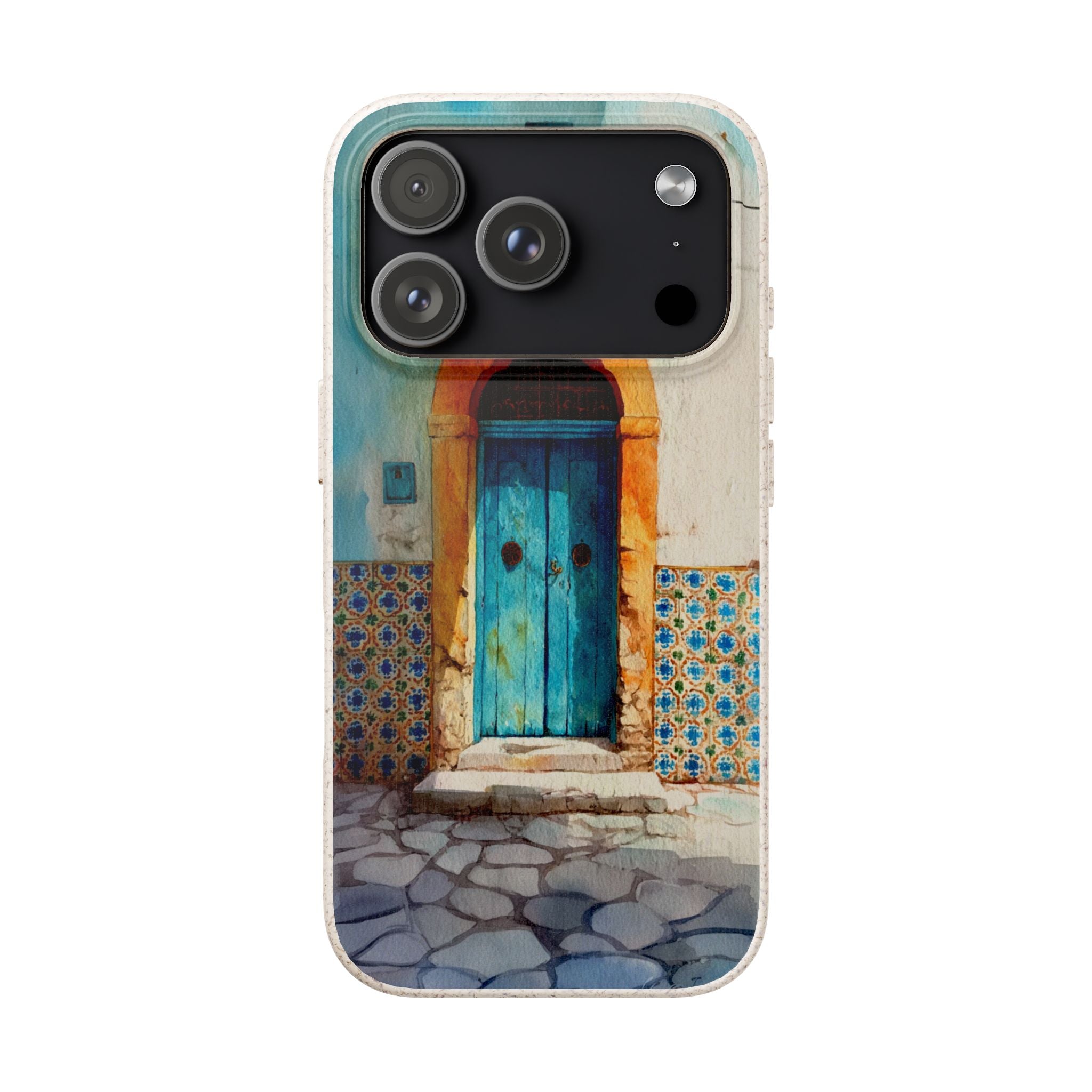 The Tunis Door