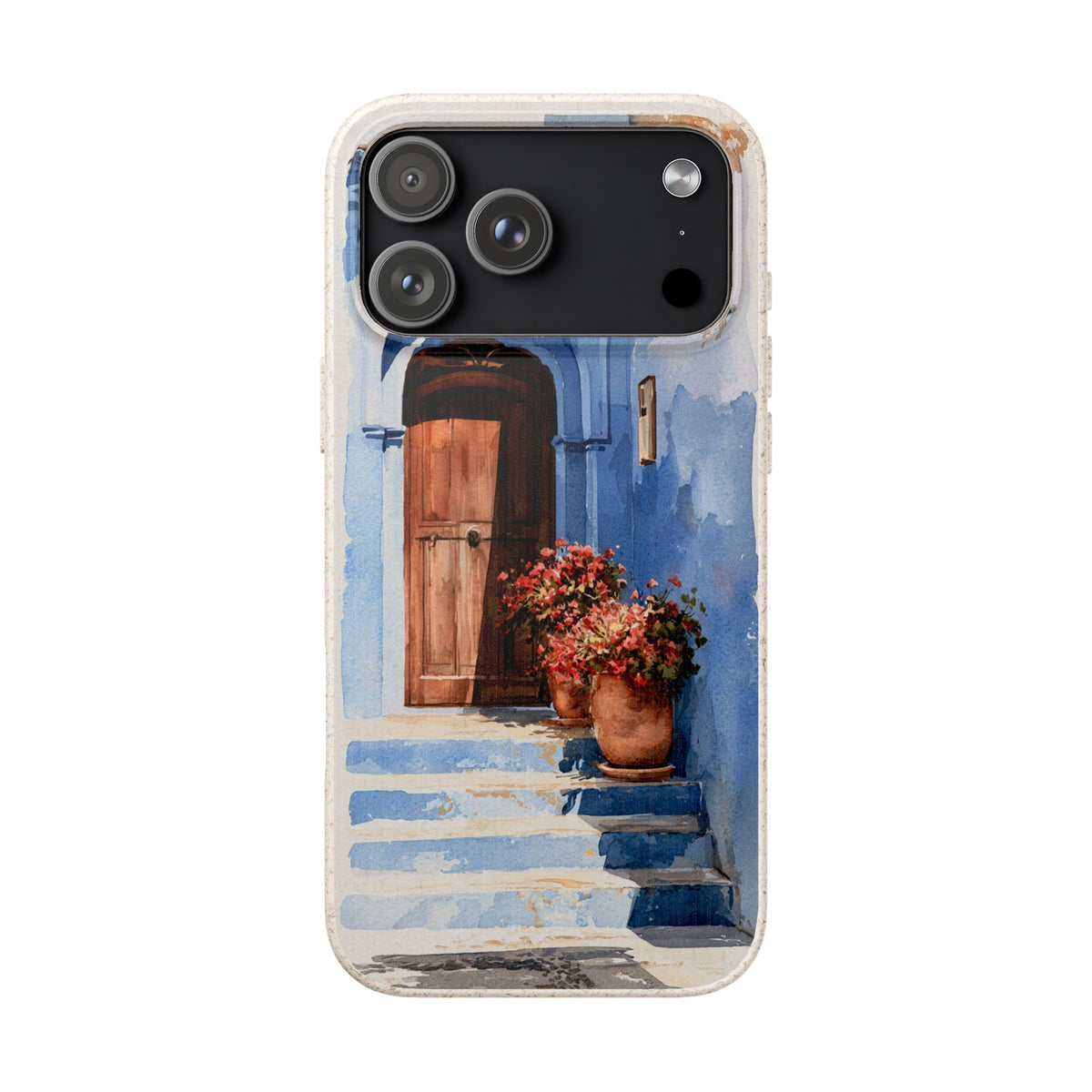 Chefchaouen Door