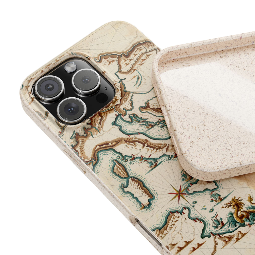 Venetian Compass