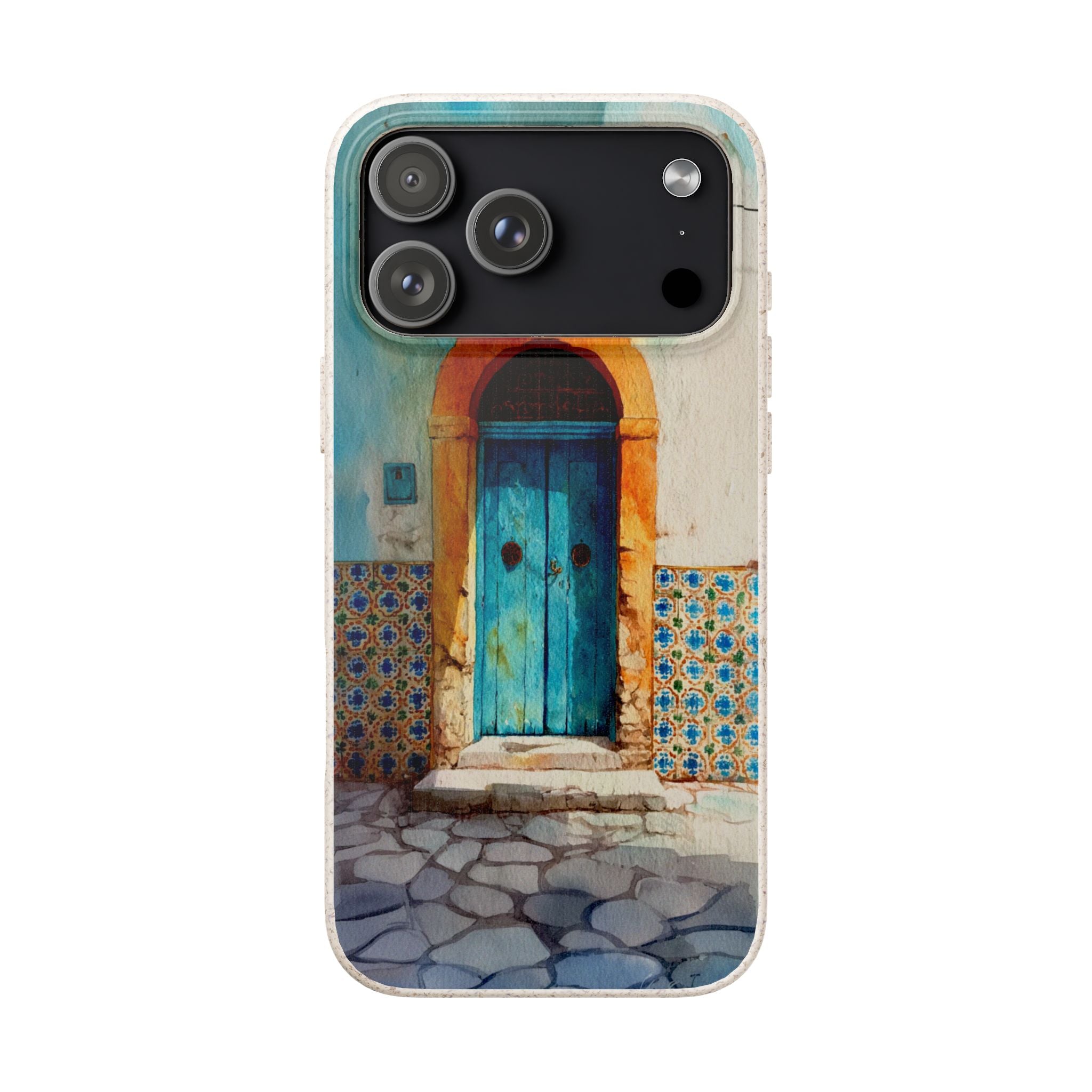 The Tunis Door