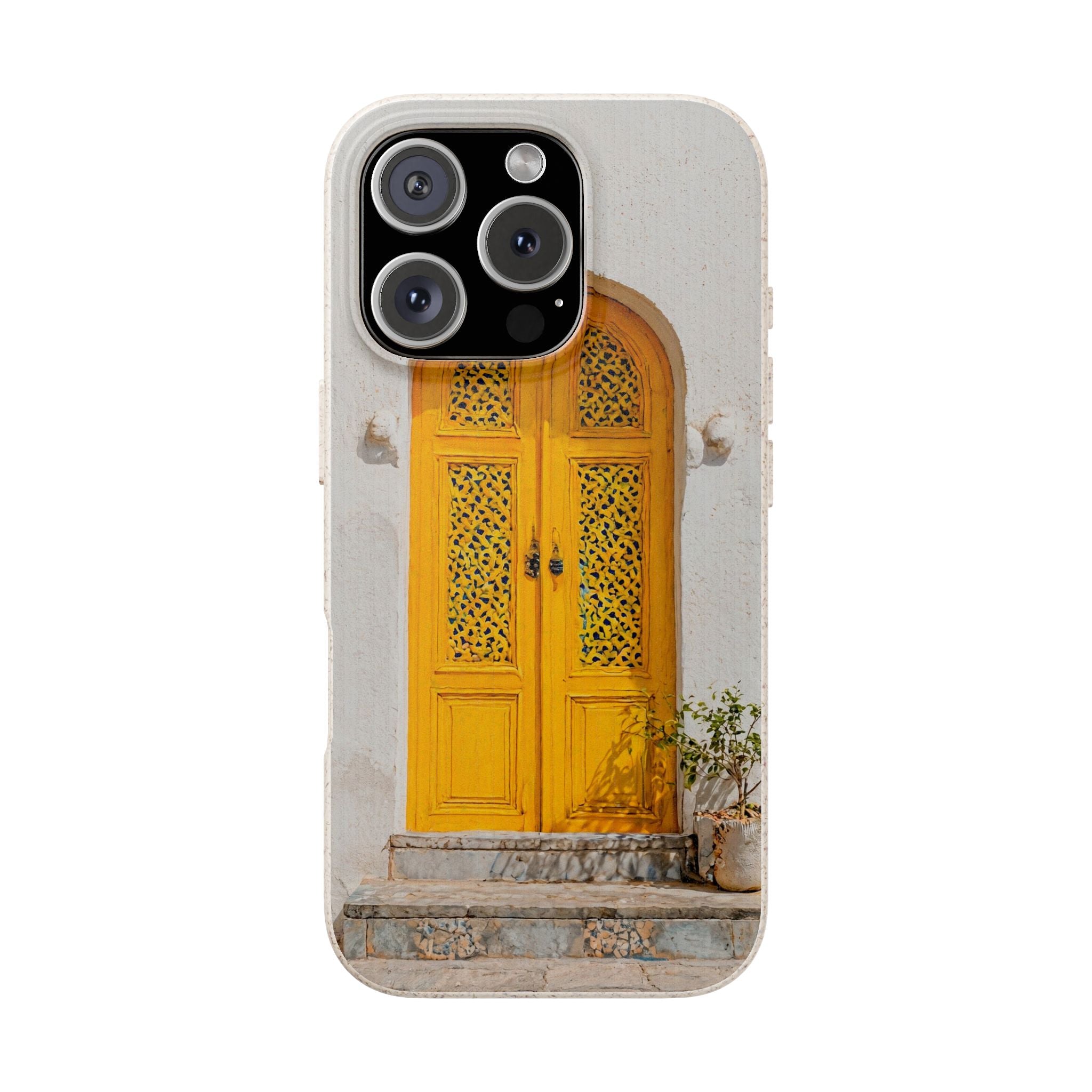 The Marrakesh Door