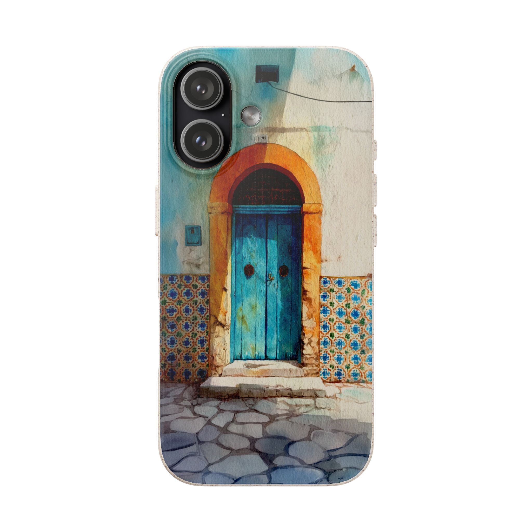 The Tunis Door