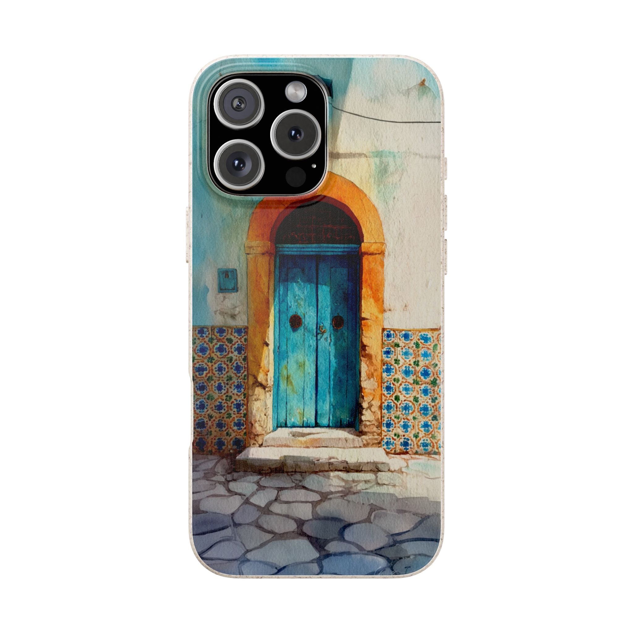 The Tunis Door
