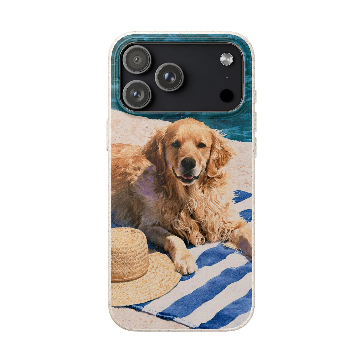 Beach Companion
