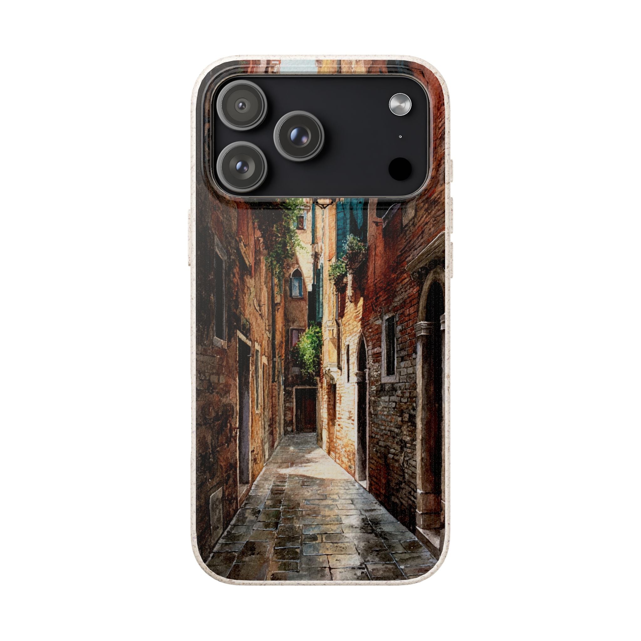 The Venice Alley