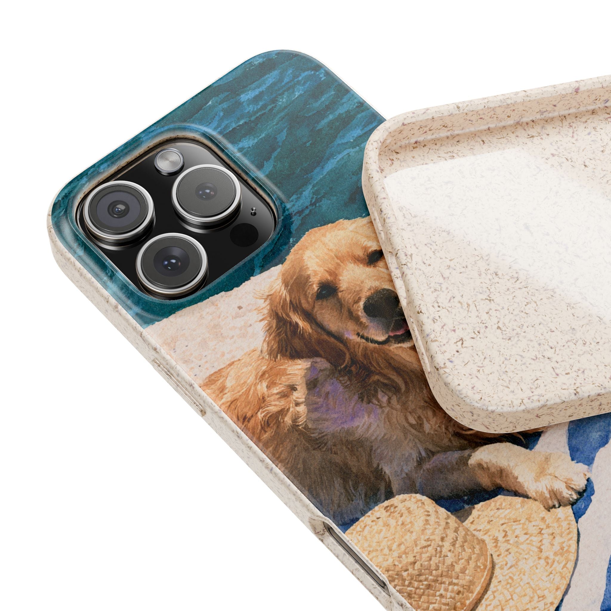 Beach Companion