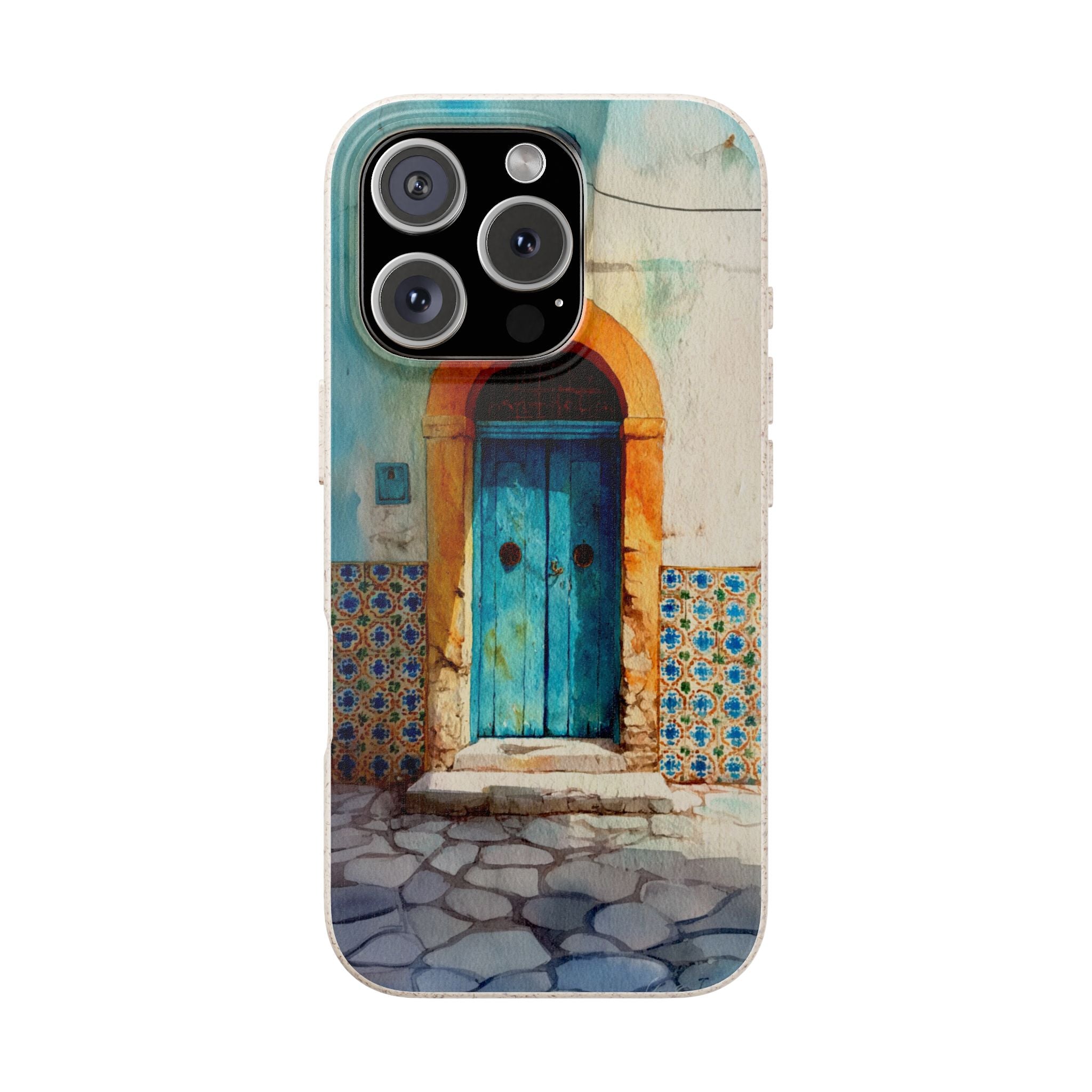 The Tunis Door