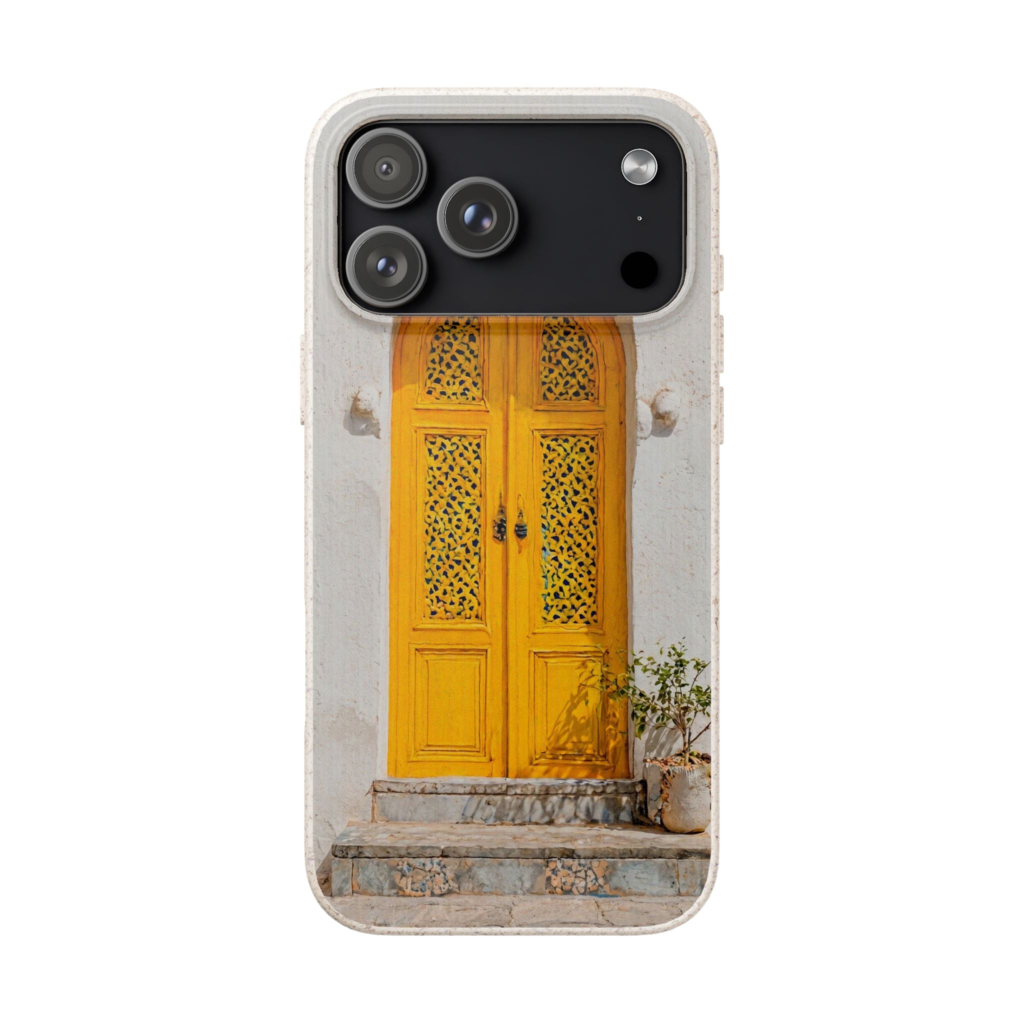 The Marrakesh Door