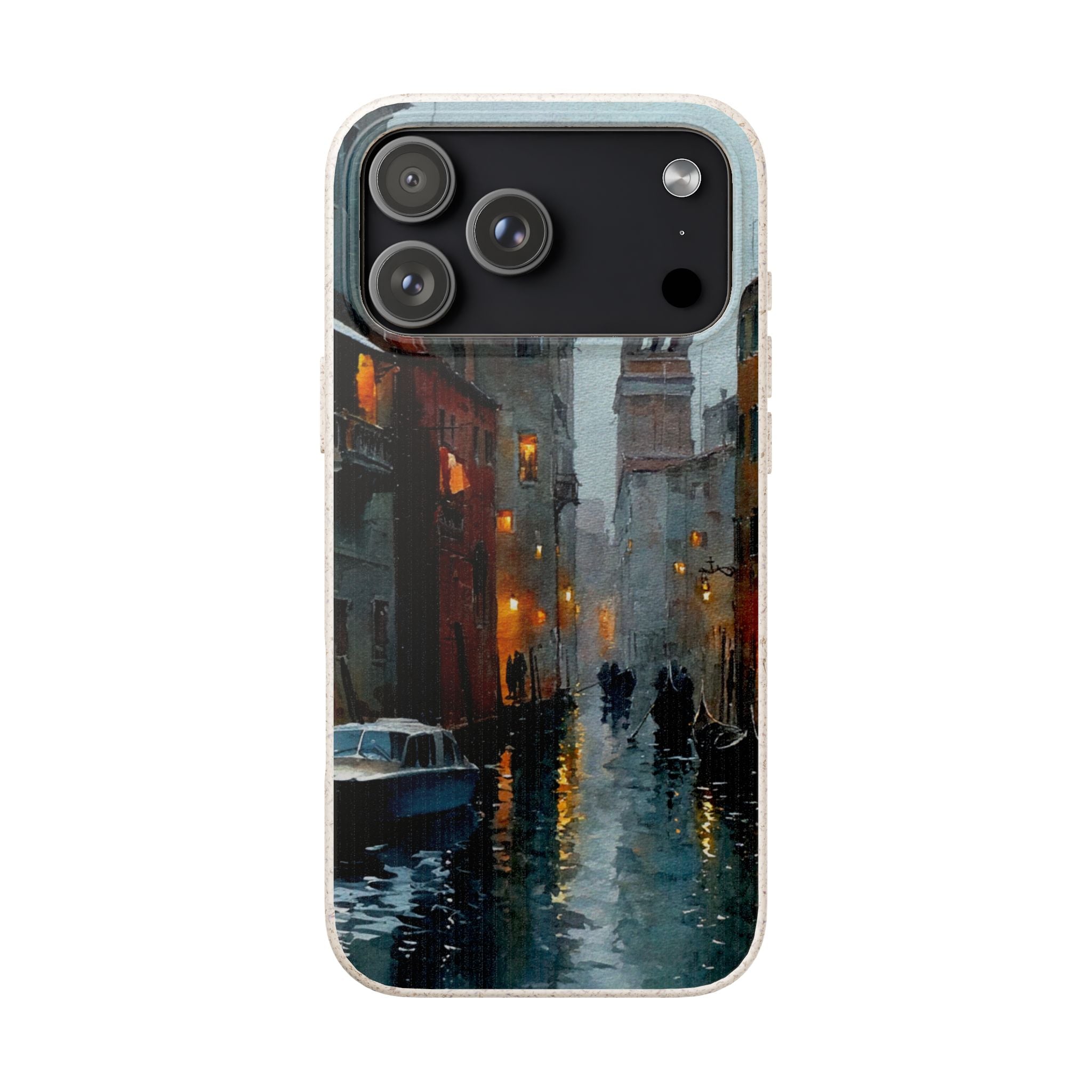 The Venice Rain