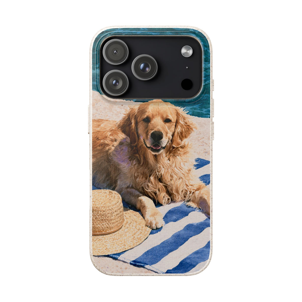 Beach Companion