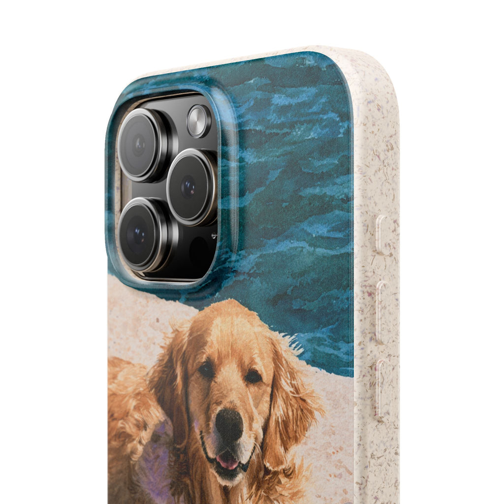 Beach Companion