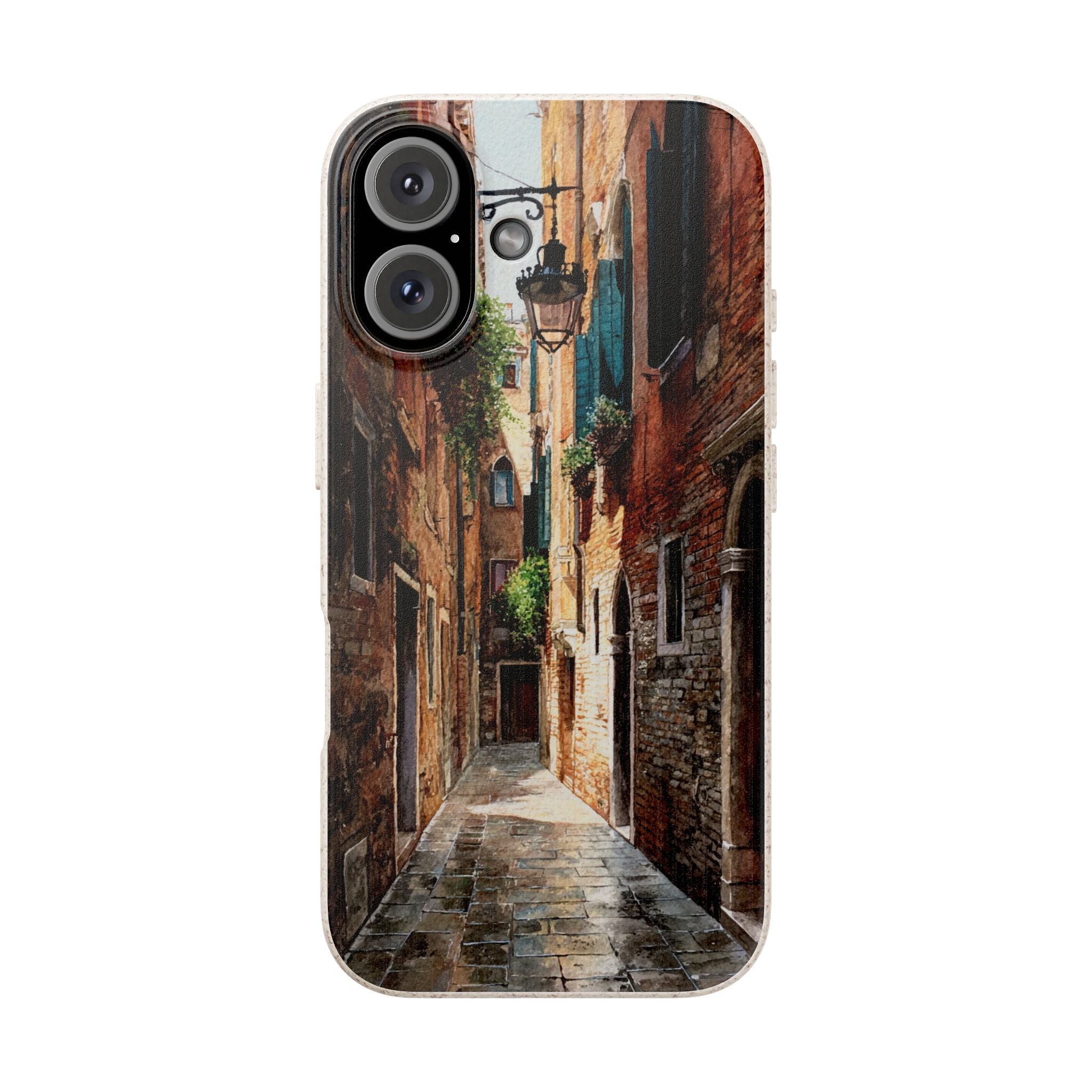 The Venice Alley