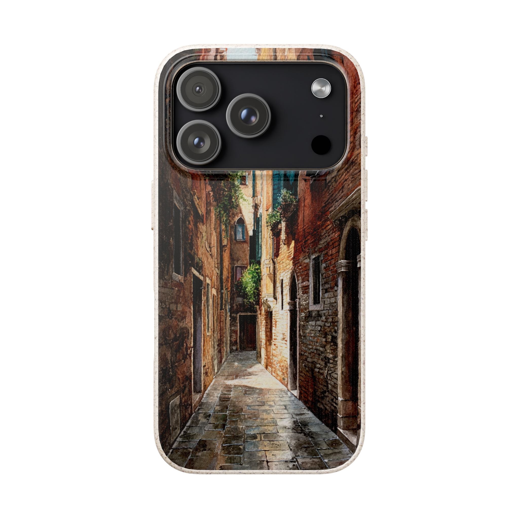 The Venice Alley