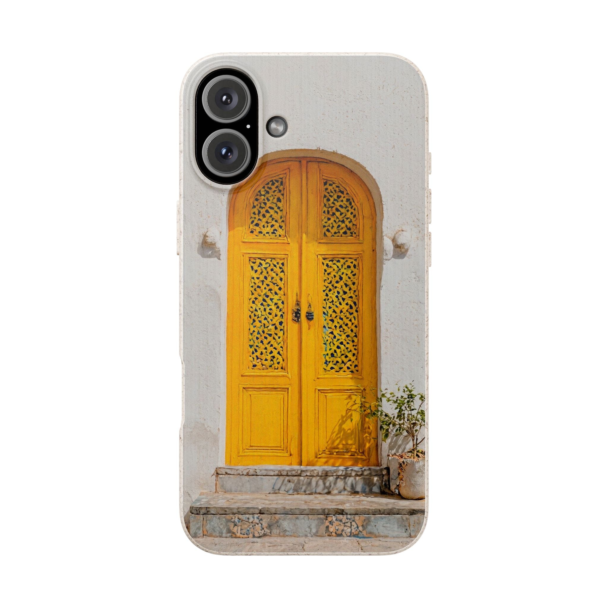 The Marrakesh Door