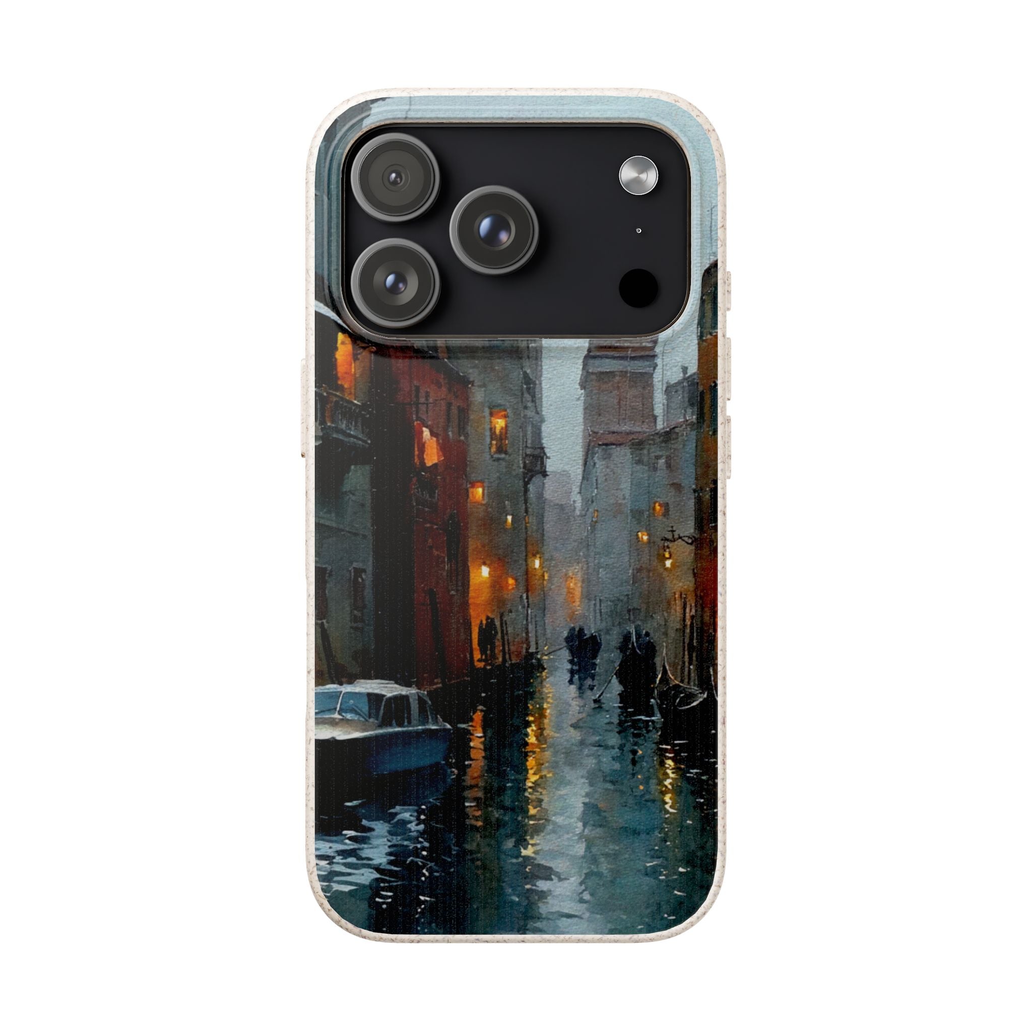 The Venice Rain