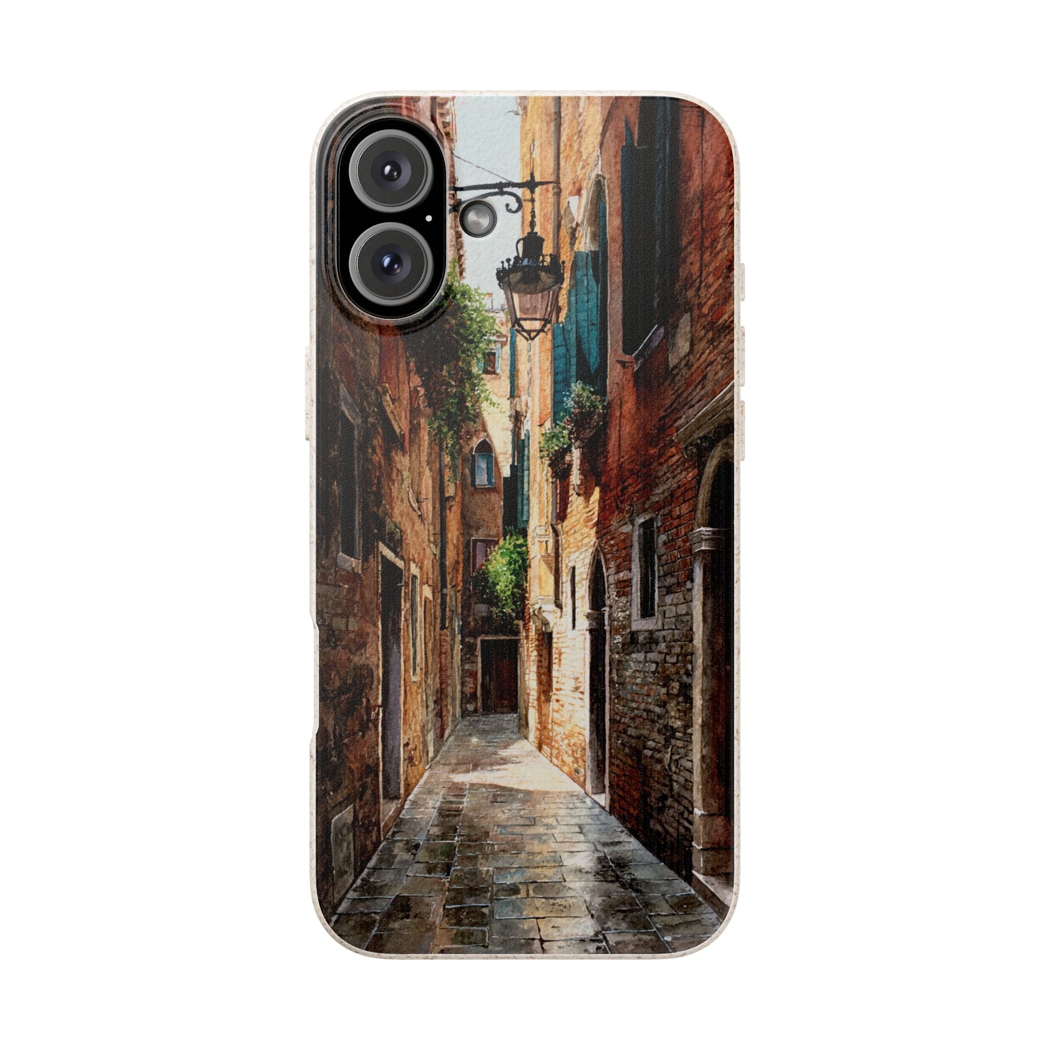 The Venice Alley