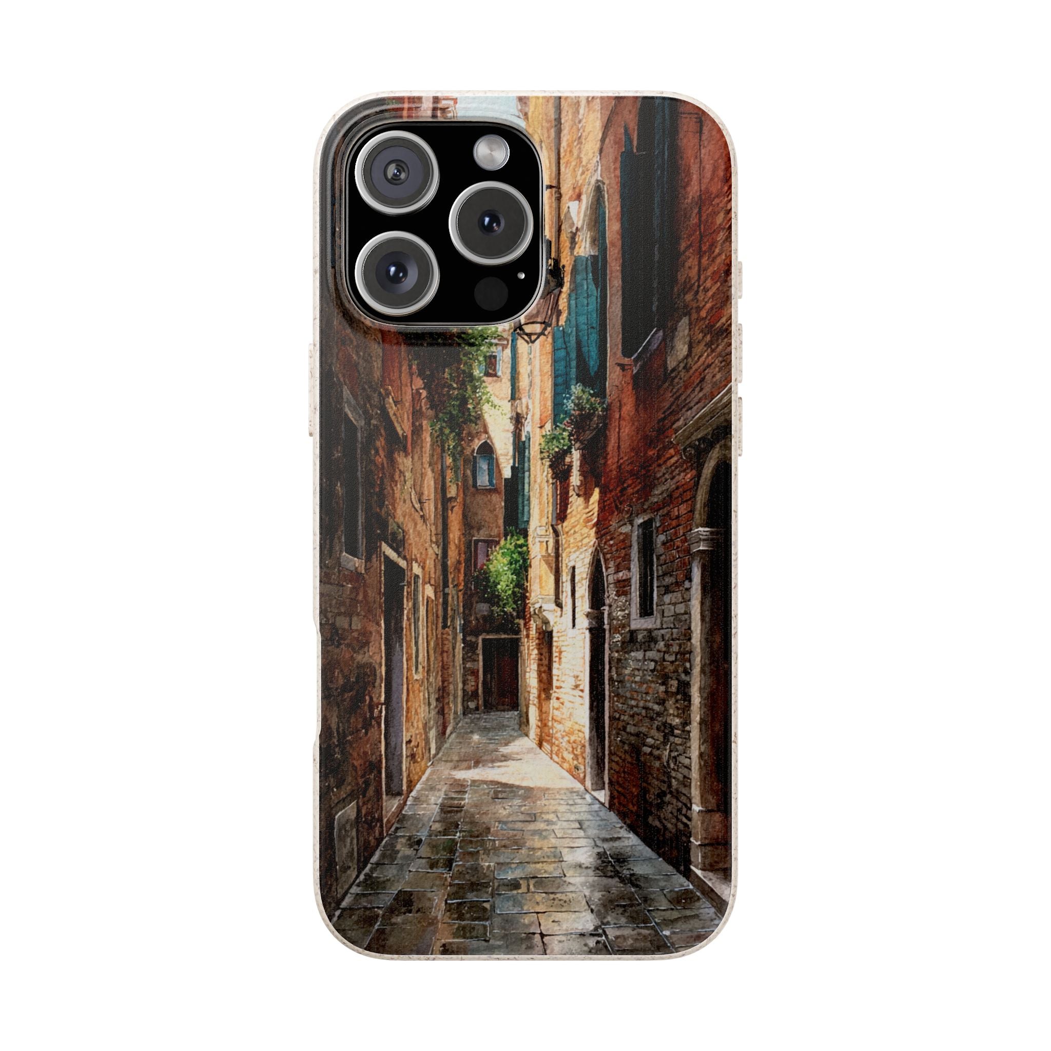 The Venice Alley