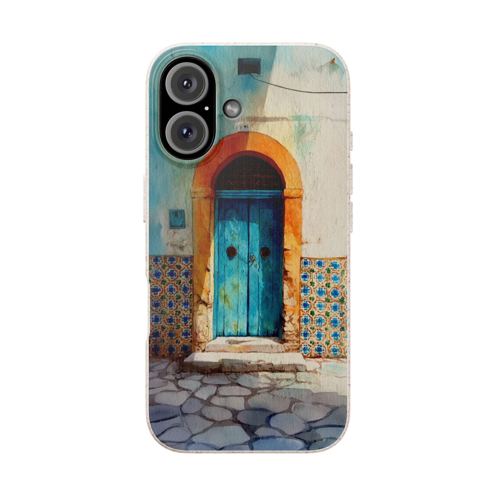 The Tunis Door