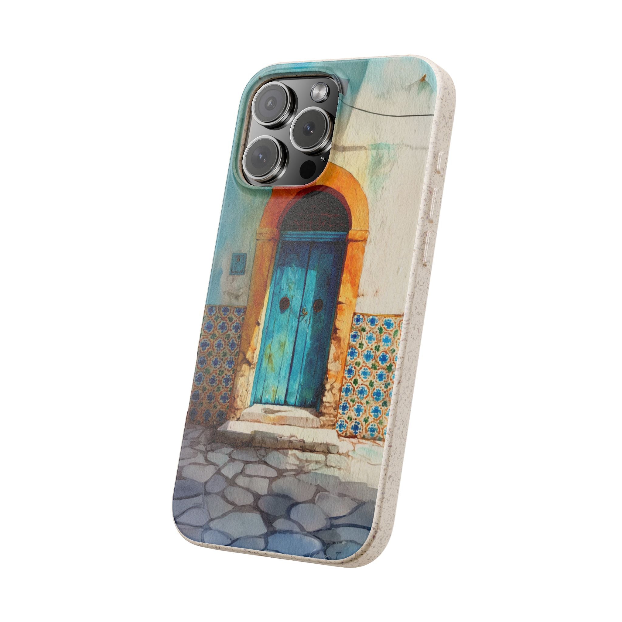 The Tunis Door