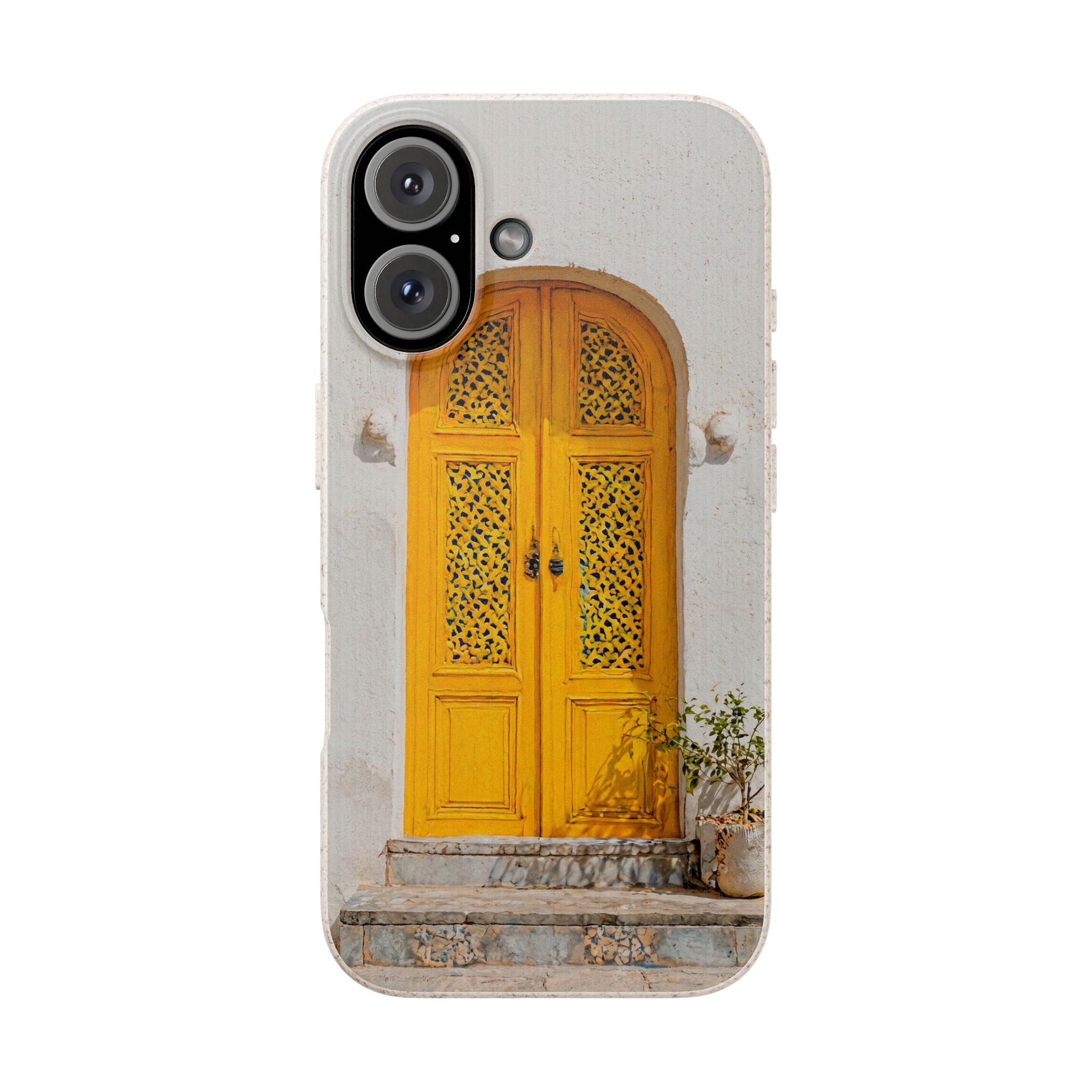 The Marrakesh Door