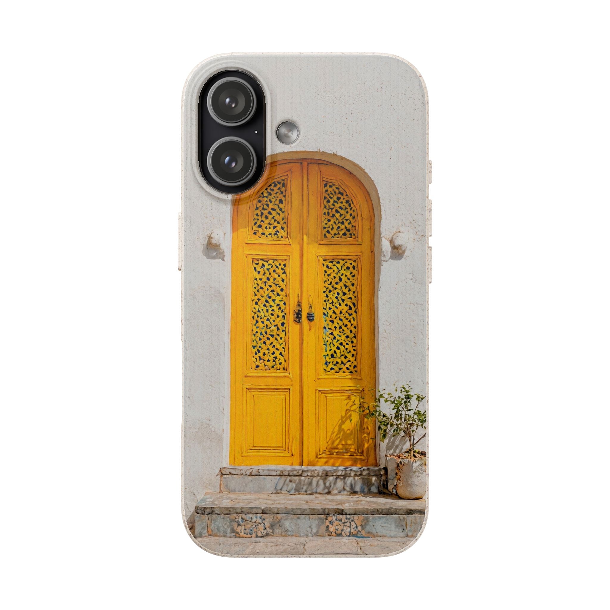 The Marrakesh Door