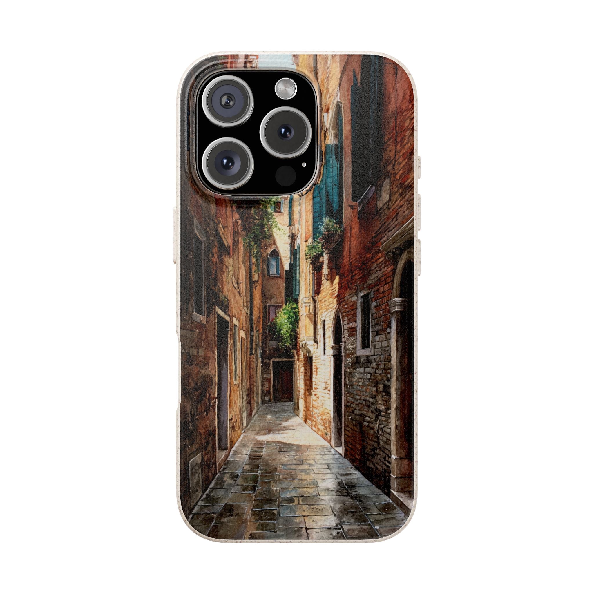 The Venice Alley