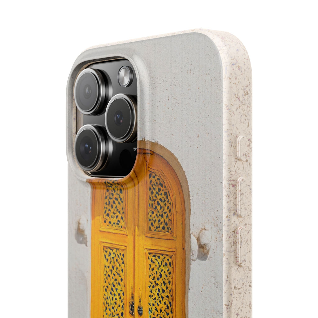The Marrakesh Door